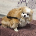 90401 - MISSY