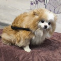 90401 - MISSY