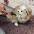 90401 - MISSY
