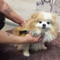 90401 - MISSY