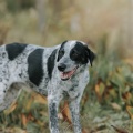 76691 - COOPER (GAVRUSHA)