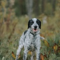 76691 - COOPER (GAVRUSHA)
