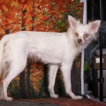 90053 - EMILY
