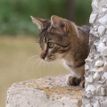 130606 fuajee/ Tallinn/ ALEKSANDER