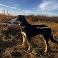 89259 - SALLY (LOLA)