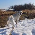 79482 - MARLY