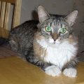 Mimmi