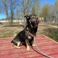 79848 - JESSY