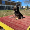 79848 - JESSY