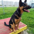 82311 - MARSEL