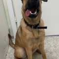87647 - RILEY