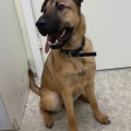 87647 - RILEY