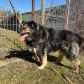 78926 - MISHA