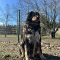 78926 - MISHA