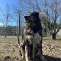 78926 - MISHA