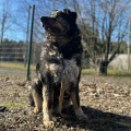 78926 - MISHA