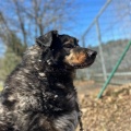 78926 - MISHA
