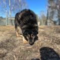 78926 - MISHA