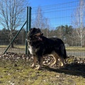 78926 - MISHA