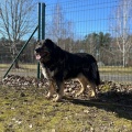 78926 - MISHA