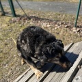 78926 - MISHA