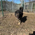 78926 - MISHA