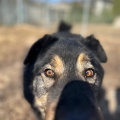 78926 - MISHA