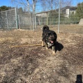 78926 - MISHA