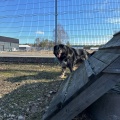 78926 - MISHA