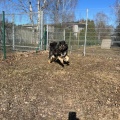 78926 - MISHA