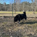 78926 - MISHA