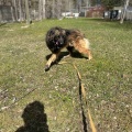 80722 - NORIS