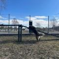 80722 - NORIS