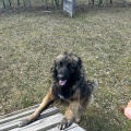 80722 - NORIS