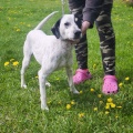 89990 - SIMON