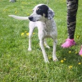 89990 - SIMON