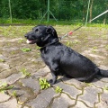 90716