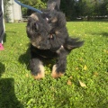 91360