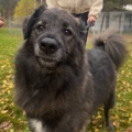 85049 - BARNI